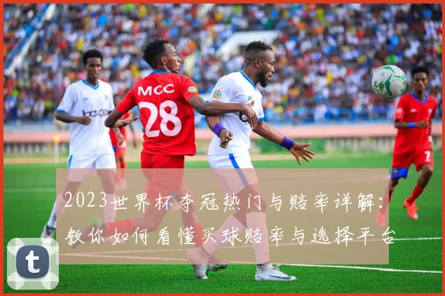 2023世界杯夺冠热门与赔率详解：教你如何看懂买球赔率与选择平台